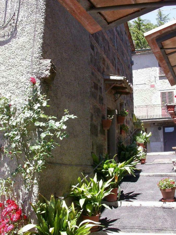 Casa Del Ciliegio Villa Radicofani Exteriör bild