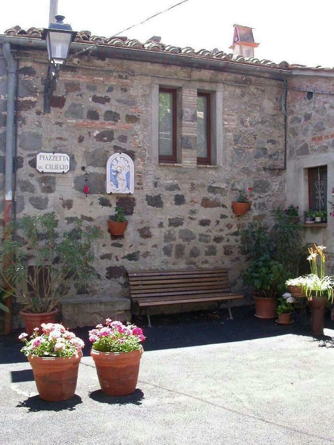 Casa Del Ciliegio Villa Radicofani Exteriör bild